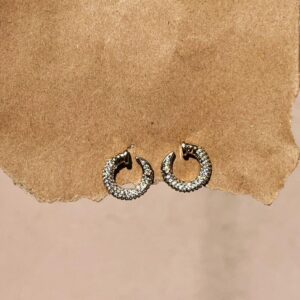 Home Sparkle Gold Mini hoop Earrings